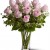 A Dozen Pink Roses